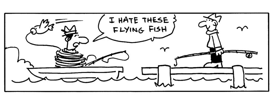 I hate these flying fish