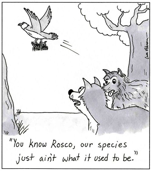 'You know Rosco, our species just ain't what it used to be.'