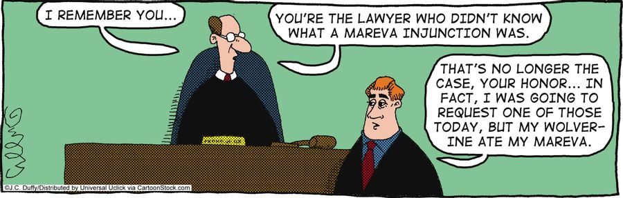 'You're the lawyer who didn't know what a Mareva Injunction was.'