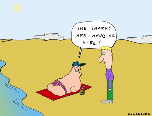 'The sharks are amazing here!'
