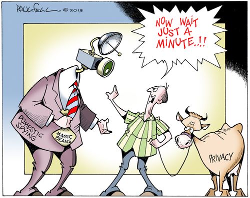 Domestic spying.