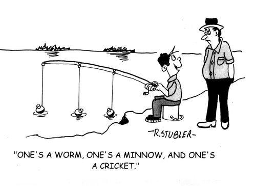 'One's a worm,one's a minnow and one's a cricket.'