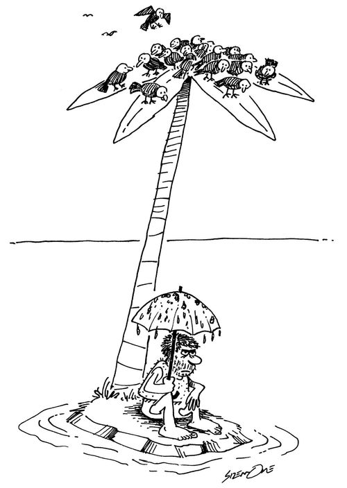 Man stranded on desert islandbirds