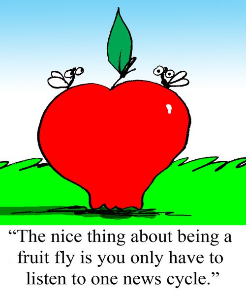 "The nice thing about being a fruit fly is you only have to listen to one news cycle."