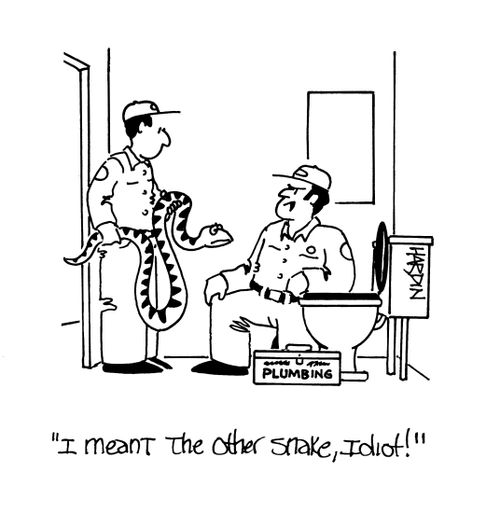 'I meant the other snake, Idiot!'