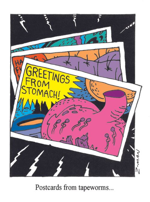Postcards from Tapeworms