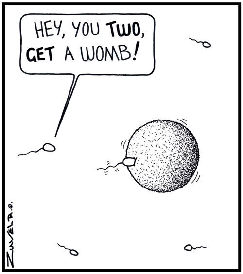 'Hey, you TWO, GET a Womb!' 