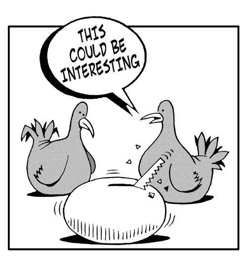 'This could be interesting.' (bird breaking out of an egg using a saw).