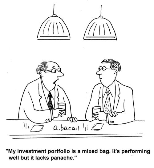 'My investment portfolio is a mixed bag. It's performing well but it lacks panache.'