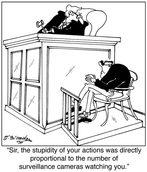 'Sir, the stupidity of your actions was directly proportional to the number of surveillance cameras watching you.'