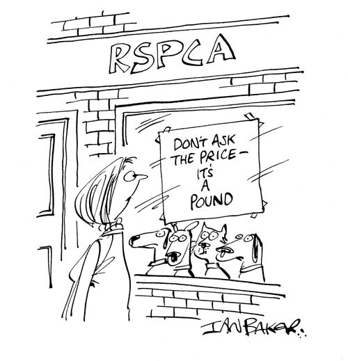 Don't ask the price - it's a pound.