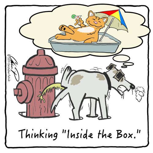 Thinking "Inside the Box."