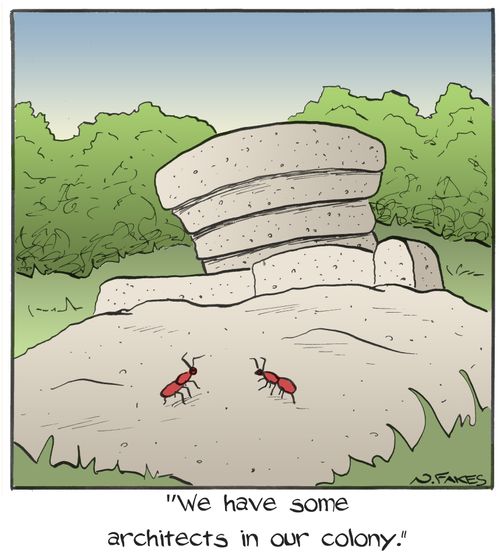 "We have some architects in our colony."