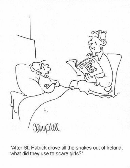 'After St. Patrick drove all the snakes out of Ireland, what did they use to scare girls?' 