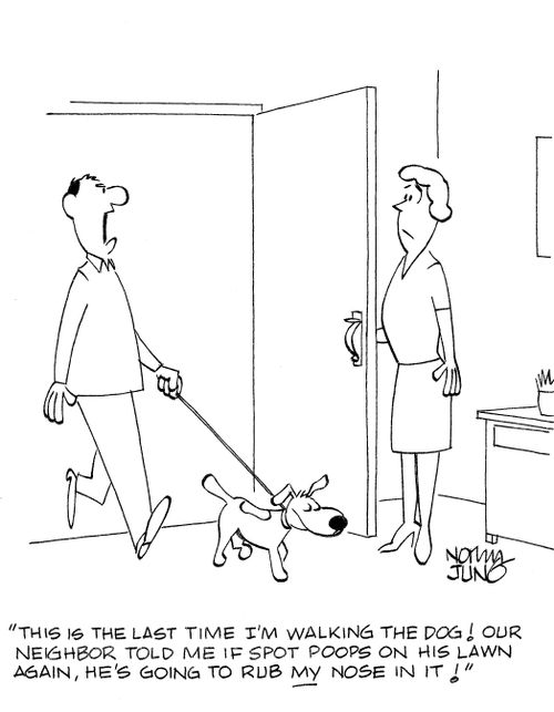 'This is the last time I'm walking the dog! Our neighbor told me if spot poops on his lawn again, he's going to rub MY nose in it!'