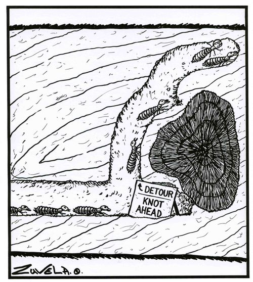 Detour, Knot ahead (Termites).