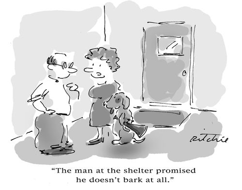 'The man at the shelter promised he doesn't bark at all.'