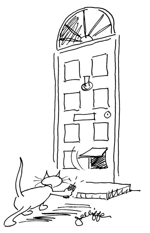 Remote-controlled cat flap.