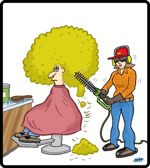 Shrub-sized afro gets a trim.