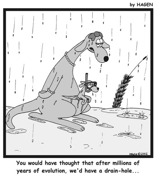 'You would have thought that after millions of years of evolution, we'd have a drain-hole...'