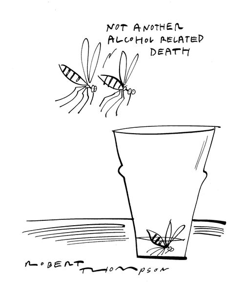 'Not another alcohol related death.'