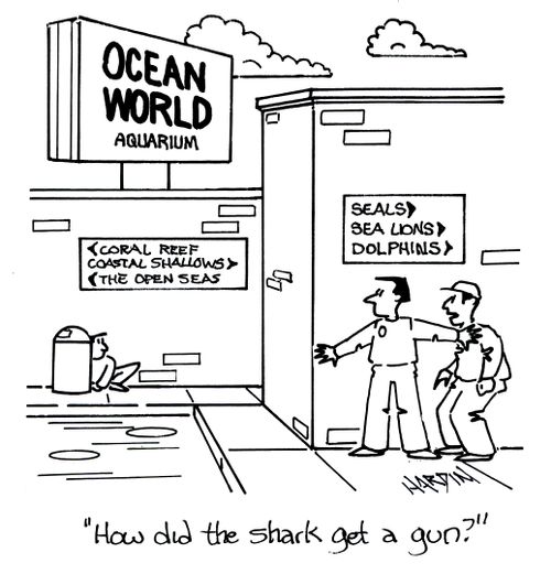 'How did the shark get a gun?'