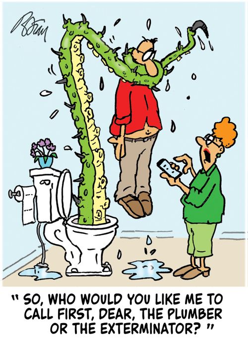 "So, who would you like me to call first, dear, the plumber or the exterminator?"