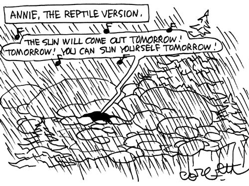 Annie, the Reptile version: 'The sun will come out tomorrow! Tomorrow! You will sun yourself  tomorrow!'   