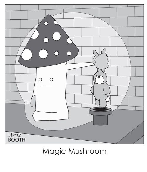 Magic mushroom