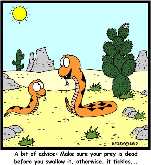 'A bit of advice: Make sure your prey is dead before you swallow it, otherwise, it tickles...'
