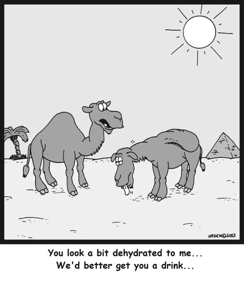 'You look a bit dehydrated to me... We'd better get you a drink...'