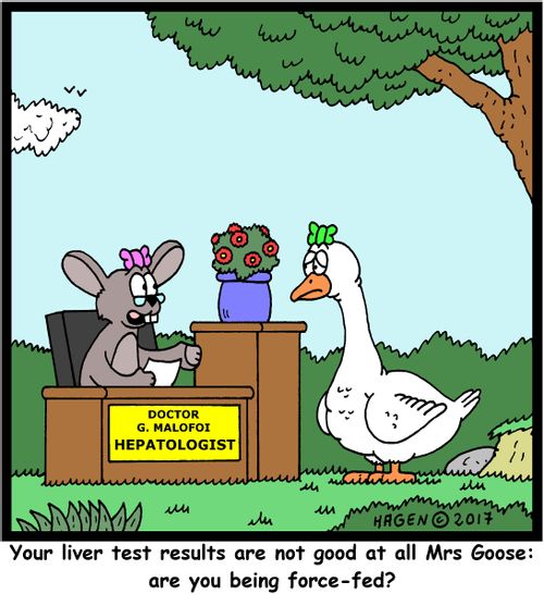 "Your liver test results are not good at all Mrs Goose: are you being force-fed?"
