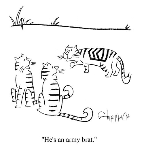 'He's an army brat.'