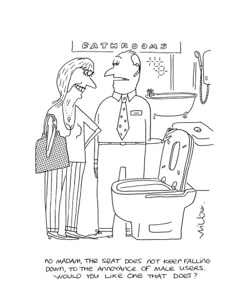 'No madam, the seat does not keep falling down, to the annoyance of male users, would you like one that does?'