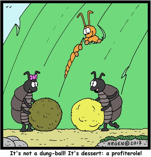 "It's not a dung-ball! It's dessert: a profiterole!"