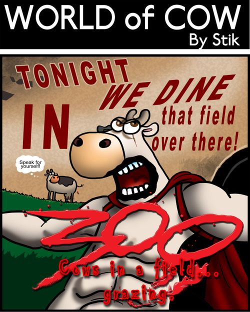300 cows in a field...grazing!
