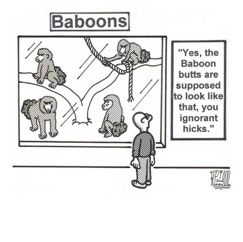 Baboons 'Yes, the baboon butts are supposed to look like that, you ignorant hicks.'