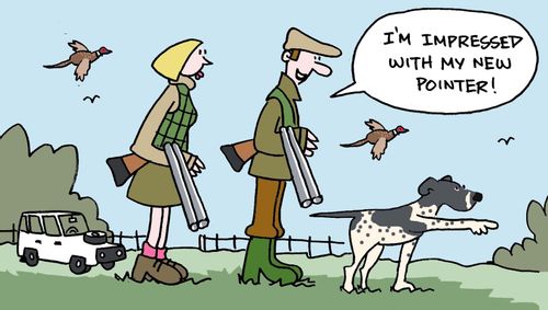 I'm impressed with my new pointer!