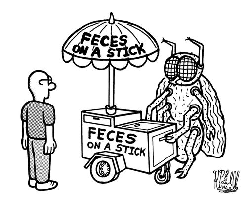 Feces on a stick (huge street vender fly selling shit)