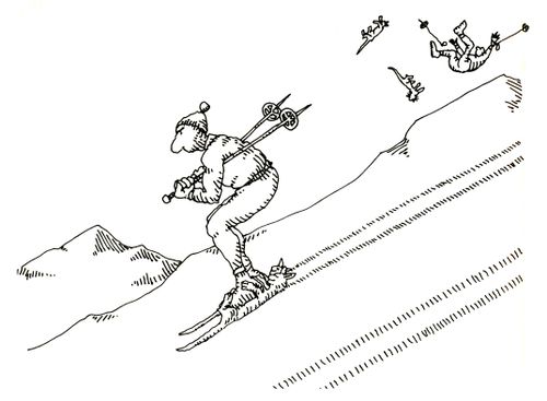 101 uses of a dead cat: skis.
