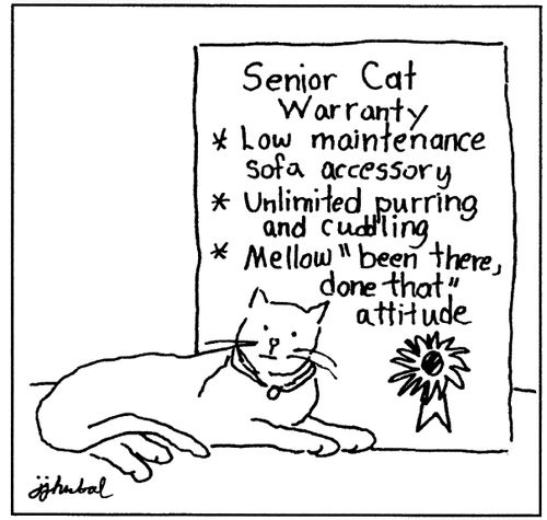 'Senior Cat Warranty, Low maintenance sofa accessory, Unlimited purring and cuddling, Mellow 'been there done that' attitude.'