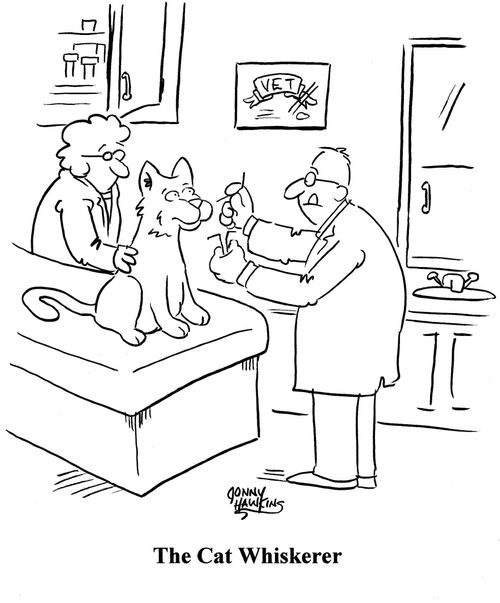 Veterinarian putting whiskers on cat, titled 'The Cat Whiskerer'.