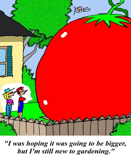 'I was hoping it was going to be bigger, but I'm still new to gardening.'
