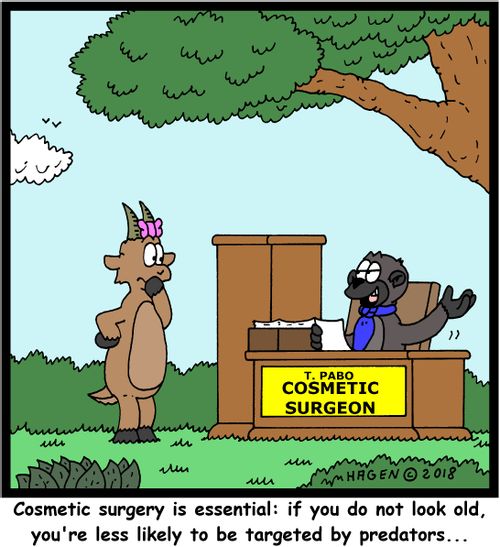 "Cosmetic surgery is essential: if you do not look old, you're less likely to be targeted by predators..."