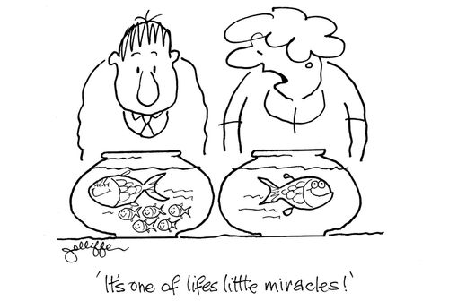 'It's one of life's little miracles!'
