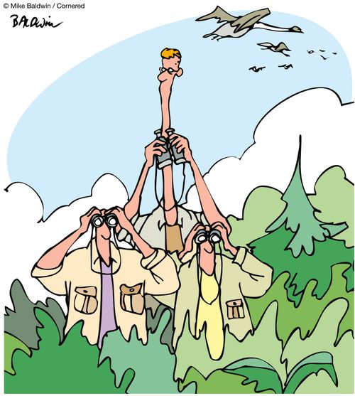 Bird watching.