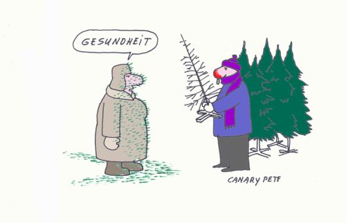 Gesundheit! - a christmas tree should be fresh.