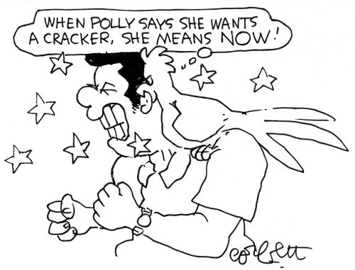 'When Polly wants a cracker, she means NOW!' 