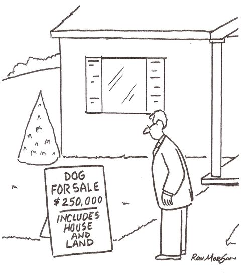 Man sees sign stating dog for sale, house and land thrown in.