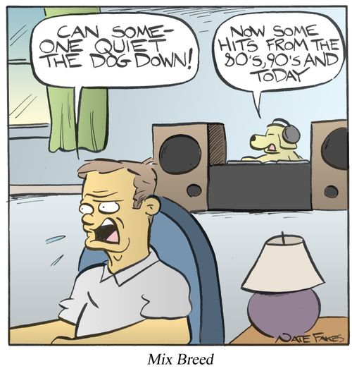 Mix Breed